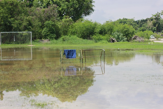 了在場的每 了在場的每
