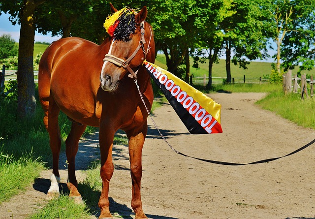 給觀眾留下 給觀眾留下