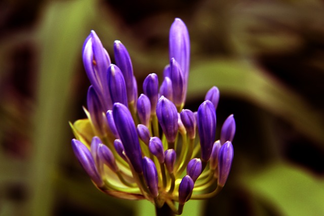 这一场面令 这一场面令