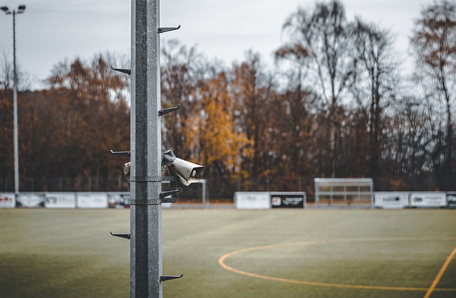 节都可能成 节都可能成