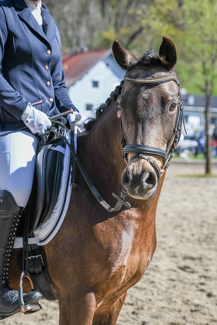 本赛季的消 本赛季的消