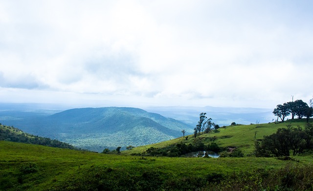 习总书记诠释“奥运精神”：体育强国梦与中国梦紧密相连.
