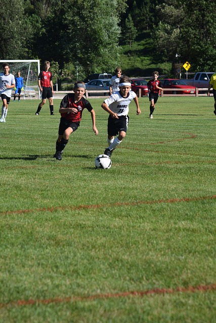 法国乒乓球 法国乒乓球