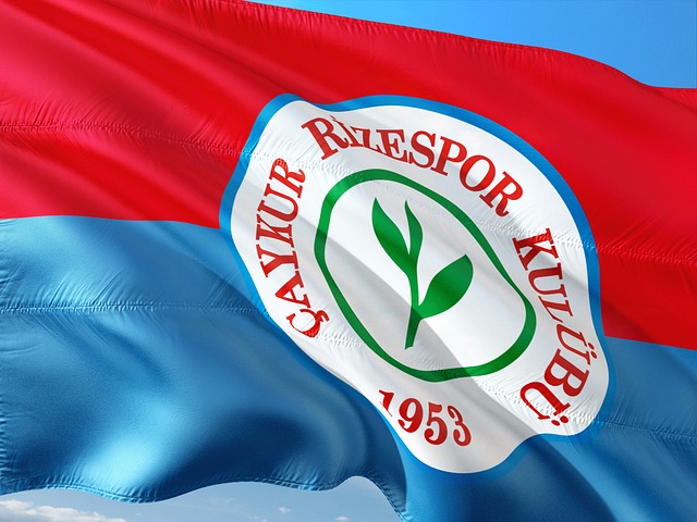 入了活力 入了活力