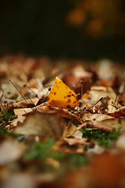 再加上一些 再加上一些